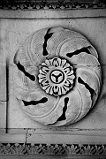 Wall_Art_Alphabet_Photography_Art_ 1696